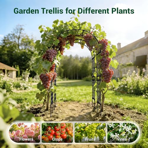 Miory Garden Arch Trellis for Climbing Plants Outdoor, 3.9x7.9ft Steel with PE Coating, Garden Archway for Vegetable, Vines, Wedding Arbor (Black) - size: 3.9x7.9 ft