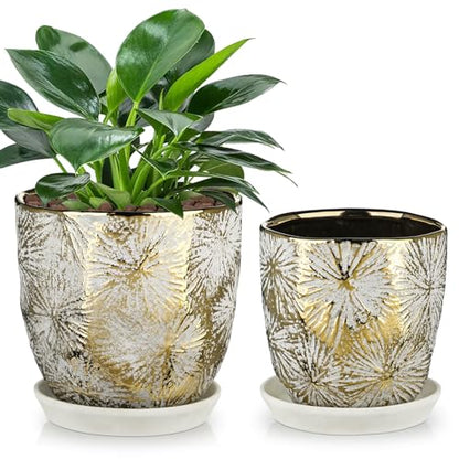 Oairse 6 +5 inch Ceramic Planter Pots Set of 2 Small Round Flower Pots with Drainage Hole and Ceramic Tray for Succulents Cactus Indoor Outdoor Garden Home Windowsill - color: Gold