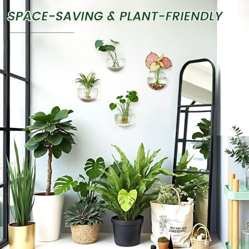 DomeStar Set of 4 Wall Vases, Wall Mounted Propagation Station - size: 4pcs