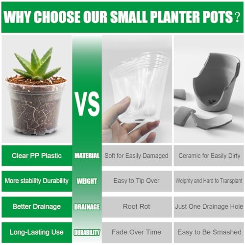 BTPLASTIK 50 Pack 3 Inch Clear Nursery Pots with Drainage Hole, Small Transparent Seed Starter Pots, Sturdy Plastic Plant Pot for Planting Seedlings Vegetables Flowers (3Inch-50P) - size: 3 Inch-50P