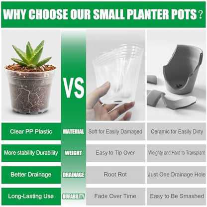 BTPLASTIK 50 Pack 3 Inch Clear Nursery Pots with Drainage Hole, Small Transparent Seed Starter Pots, Sturdy Plastic Plant Pot for Planting Seedlings Vegetables Flowers (3Inch-50P) - size: 3 Inch-50P
