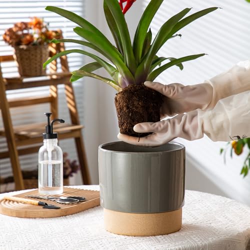8 Inch Ceramic Self Watering Planter with Drainage Hole, Dark Grey - color: Darkgrey, size: Medium