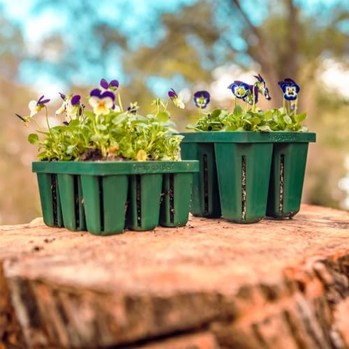 Vego garden Jumbo Seedling Trays Without Lids, 8 Pack Reusable Propagator Growing Starter Tray for Larger Plants, Heavy-Duty Plastic Germination Trays (4-Cell per Tray) - size: 4 Cells Jumbo