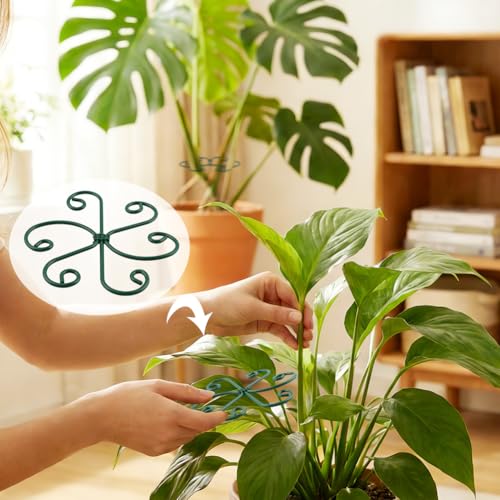 4PCS Iron Monstera Support, Plant Stem Support Uniquely Designed Plant Support Stakes for Indoor Plants, Stable Plant Stakes and Supports, Turtle Shell Bamboo Clamp Set for Thriving Growth