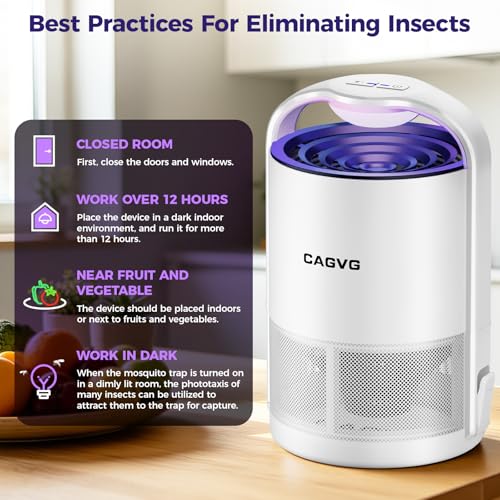 Fly Trap Indoor, Fruit Fly Traps for Indoors Suction &Adjust Light, White - color: White