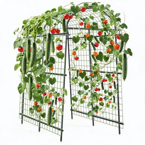 Garvee Metal Garden Arch Trellis, 7.6Ft Black for Raised Beds - size: 7.6x6x3.8 Ft - 7