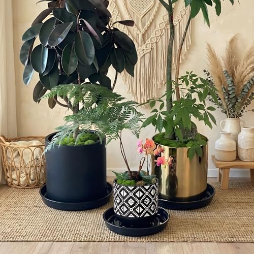10 Pack Plant Trays 10 inch Heavy Duty Plant Saucers for Indoor Outdoor Use - color: 10 INCH BASE