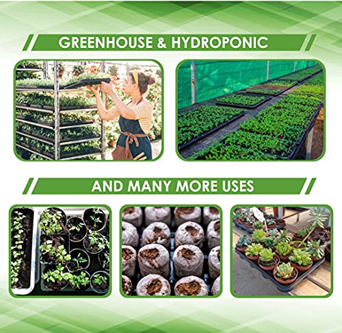 6 Pack Premium Quality Seedling Trays, Microgreens Growing Trays, No Drain Holes, Heavy Duty, Durable Plastic, 1.5mm Thick, Plants Drip Tray, Best for Sprouting Vegetables and Wheatgrass