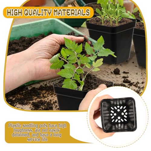 CIEOVO 2.4 inch 80 Pcs Square Nursery Pots with Drain Holes and 5 Pcs Plastic Plant Growing Trays, Seed Starter Kit Propagation Tray Seed Starting Pots for Seedling Plant Growing