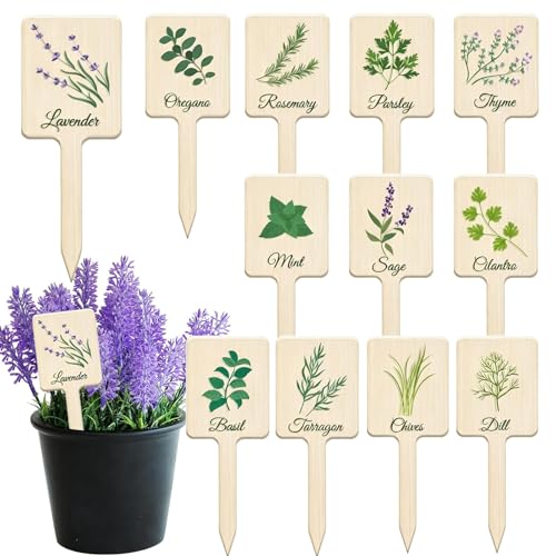 24Pcs Plant Labels Herb Garden Herbs Tags Markers