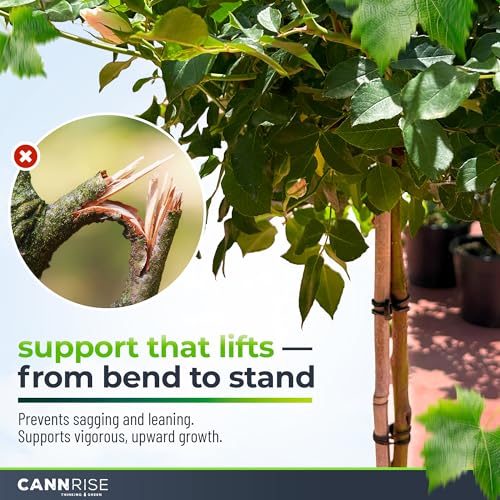 Anchor Bands for Trellising - 33-Pack 12 cm/4.72 in Rubber Vine Ties, UV-Protected Bands: Grapevines, Trees & Climbing Plants – Tool-Free Loop-and-Anchor Design for Install, Weatherproof - size: 33 pack / 4.72"