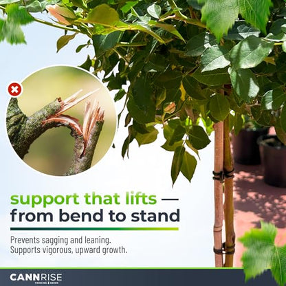 Anchor Bands for Trellising - 33-Pack 12 cm/4.72 in Rubber Vine Ties, UV-Protected Bands: Grapevines, Trees & Climbing Plants – Tool-Free Loop-and-Anchor Design for Install, Weatherproof - size: 33 pack / 4.72"