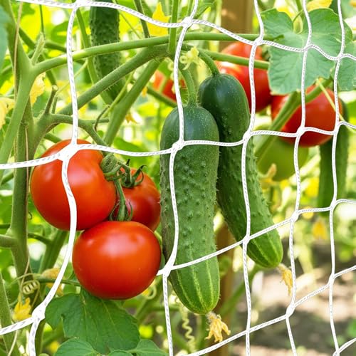 Trellis Netting for Climbing Plants 6x15Ft Garden Trellis Netting Plant Support Net Heavy Duty Climbing Net Trelliss for Vegetables Fruits Grape Beans Tomatoes Peas Pumpkin Flowers Cucumber Outdoor - color: 1 pcs white, size: 6x15ft