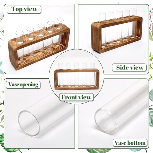 Glass Plant Propagation Station with 5 Test Tubes Colorful Planter Vase