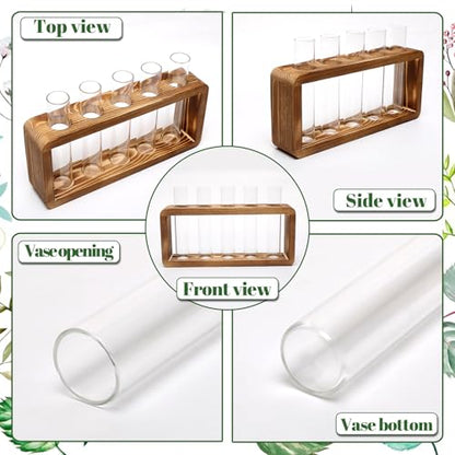 Glass Plant Propagation Station with 5 Test Tubes Colorful Planter Vase