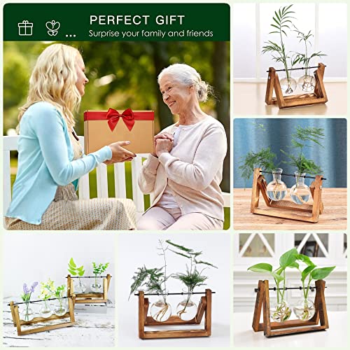 Kingbuy Glass Desktop Planter with Retro Wooden Stand, 2 Bulbs - size: 2 Bulb Vase
