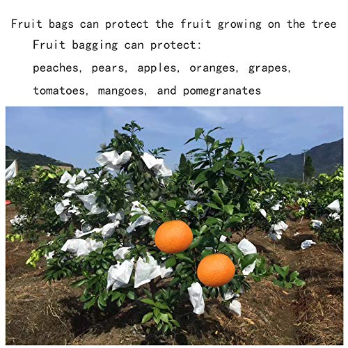 Fruit Protection Bags 100pcs Eco-Friendly Paper Cover Bags 7.8X11inch, Fruit Bags for Fruit Trees, Orchard, Trees, Frost, Plants (20 x 28 in)… - size: 22x26 cm