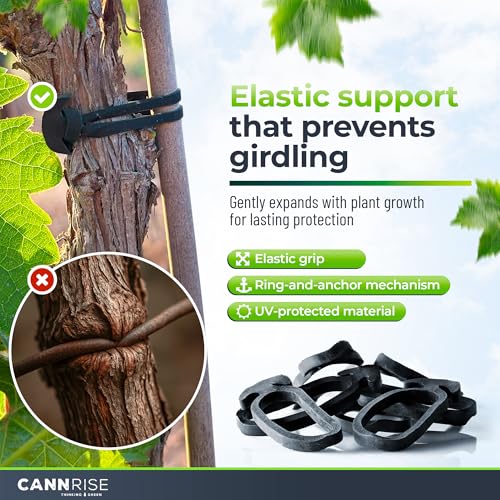 Anchor Bands for Trellising - 33-Pack 12 cm/4.72 in Rubber Vine Ties, UV-Protected Bands: Grapevines, Trees & Climbing Plants – Tool-Free Loop-and-Anchor Design for Install, Weatherproof - size: 33 pack / 4.72"