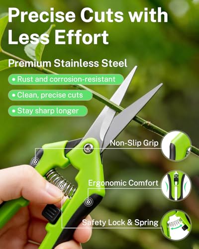 2-Pack Pruning Scissors, 6.5 Inch Stainless Steel Gardening Shears for Flower Trimming, Plant Harvesting & Bonsai Clippers with Non-Slip Handles & Safety Lock（green） - color: Green