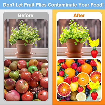 Fruit Fly Trap for Indoors,2025 Upgrade Fruit Flies Gnat Killer with Yellow Sticky Fruit Fly Traps,Safe and Non-Toxic Fruit Flies Traps,Odorless Fly Insect Trap for Home,Kitchen,Plants (Red,2 Pack) - size: 2 pcs