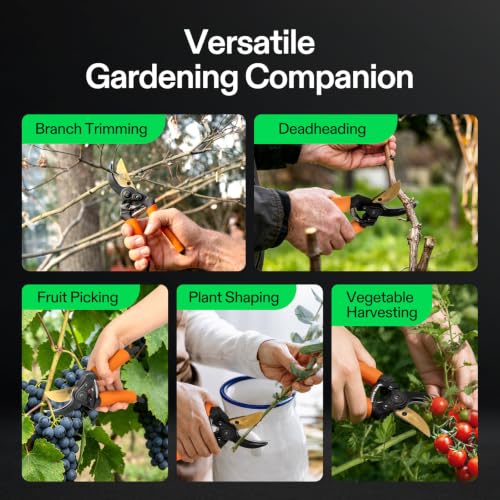 VIVOSUN 8.5" Bypass Pruning Shears for Gardening, Heavy-Duty Garden Scissors, Ultra Sharp Pruners with 3/4 in. Cut Capacity SK5 Blades, Thick Cushion-Covered Handle and Safety Lock - style: Soft Grip Pruner