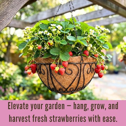 LaLaGreen Deck Hanging Baskets (16 in, 4 Pack) Black Coco Liner Garden Pots - size: 16" (41 cm) x 4 Pack