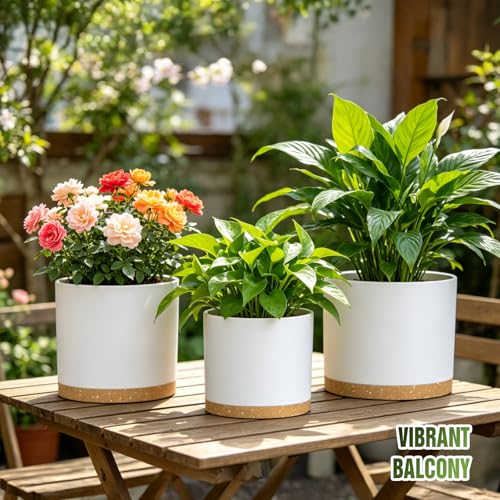 10/9/8 Inch Plant Pots 3 Pack, with Drainage Hole & Saucers - color: Matte White&brown