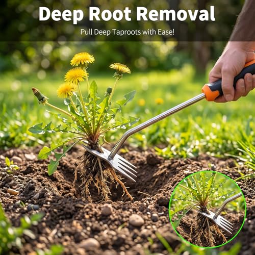 Weed Puller Tool, Heavy Duty Stainless Steel Garden Weed Puller with 4-Tine & Root Removal Fork, Weeding Tool, Deep Root Weed Remover for Dandelion, Crabgrass & Thistle, 2-in-1 Garden Tools (Orange)