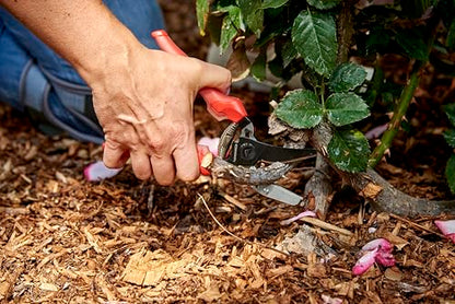 Corona AP 3334 Non-stick Steel ComfortGEL Anvil Hand Pruner - 3/4 inch Cut Capacity Stem and Branch Garden Shears, Red
