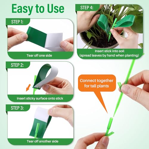 100 Pcs Gnat Sticky Traps for Plants, Sticky Traps for Gnats with 20 Stakes to Control, Aphids, Plant Bug, Mosquito Bits and Whiteflies(Green) - color: Green