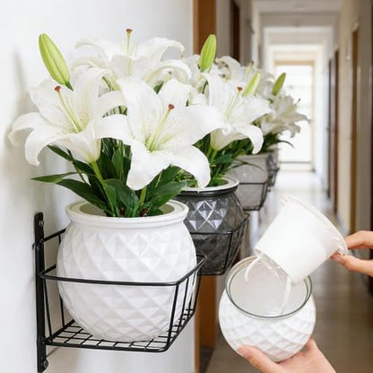 Self Watering Planter Pots, Automatic Water Absorbing Pot Indoor Hydroponic Plant Flower Pots for Green Luo, Succulent Plant (White, 11x10.5cm) - color: White