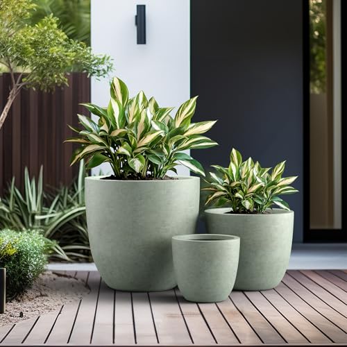 Kante Set of 3 Mint Green Concrete Bowl Planters 18" 14" 10" Dia - color: Mint Green, size: 18"d + 14"d + 10"d