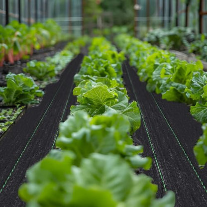 3ft x 50ft Weed Barrier Landscape Fabric Premium Weed Control Fabric Durable Landscaping Fabric Weed Barrier Fabric - size: 3ft x 50ft