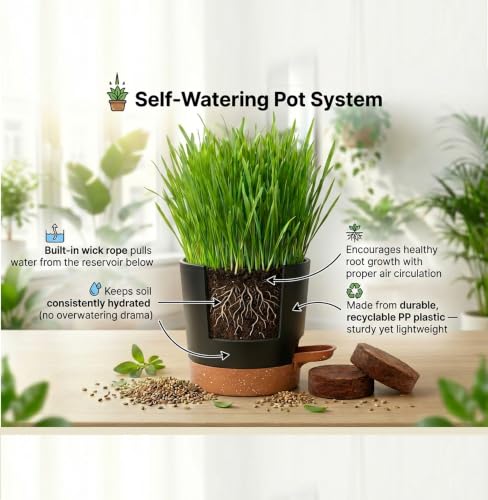 House Tiger Cat Grass Gift Set - Complete All-in-One Kit with Self-Watering Stay Fresh Pot & 3-Pack Refill | Includes Premium Cat Grass Seed, Coco Coir Soil Discs | Aids Digestion & Hairball Control - size: Deluxe Gift Set