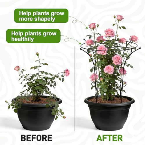 1 Pack Metal Peony Plant Support Cage, 32.2 x 19.2 Inch with Wide Top Ring