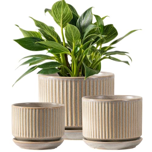 SURE YUESI Ceramic Plant Pots Set of 3, Indoor Outdoor Planters with Drainage Hole and Saucer, Ceramic Flower Pots for Indoor Plants, 4.3+5.5+6.8 Inch, Home, Garden, Patio and Office, Matte Grey - color: Speckle Gray
