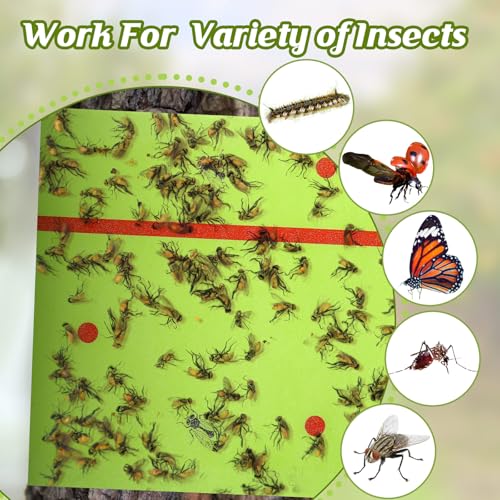 Qualirey 18 Rolls 540 ft Total Spotted Lantern Fly Tree Trap Insect Barrier - color: Green