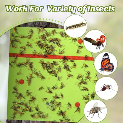 Qualirey 18 Rolls 540 ft Total Spotted Lantern Fly Tree Trap Insect Barrier - color: Green