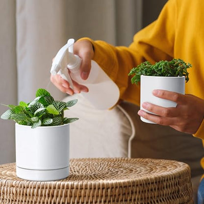 D'vine Dev 2-Pack Ceramic Pots & Saucers, White, 3.5/4.7 in, 94-G-XS-1 - color: White, size: X-Small