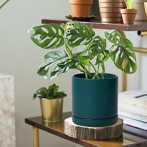 D'vine Dev 2-Pack Ceramic Pots with Saucers, 6/8 in, Teal, 94-G-M-9 - color: Teal, size: Medium