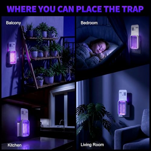 Upgraded Fruit Fly Traps for Indoors, Flying Insect Trap for Fruit Flies, Gnats, Plug in Bug Zapper Indoor with Dual-UV Lights & Trapping, Electric Grid & Glue Traps - size: 2 Device 10 Glue Boards