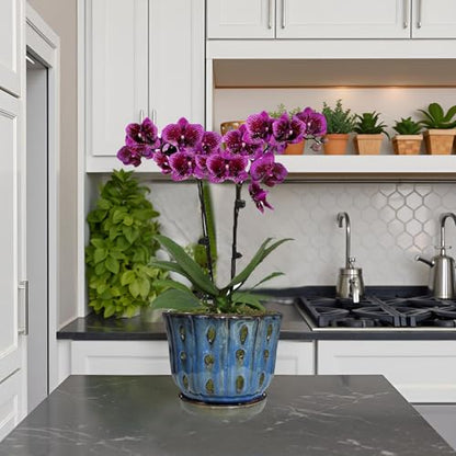 6 inch Round Ceramic Orchid Pot with Holes Orchid Planter (Dark Blue) - color: Dark Blue