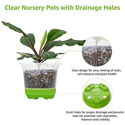 MIXC Clear Nursery Pots with Silicone Base, 4-Inch, 30-Pack - color: Green, size: 4 Inch