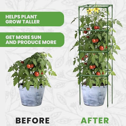 3 Pack 58" Square Tomato Cages for Garden - Large Tomato Trellis Stakes - size: 3 Pack, 58 Inches