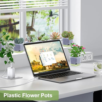 Oliz 20pk 3" Square Succulent Pots w/Drainage & Saucers - size: Mini Clear Pots 20 Pack