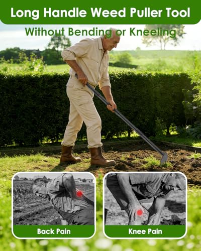 Luvenia Garden Hoe, 46 Inch Long Handle Hoe Garden Tool Heavy Duty, 2 in 1 Weed Rake & Garden Hoe for Women & Family Gardeners, Fast Weeds Grass Removal,Cultivating, Loosen Soil, Sharp Edge - size: 44in