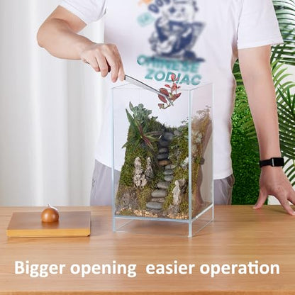 Large Glass Plant Terrarium: 13.7H+7.8W Terrarium with Light - size: H-13.7IN