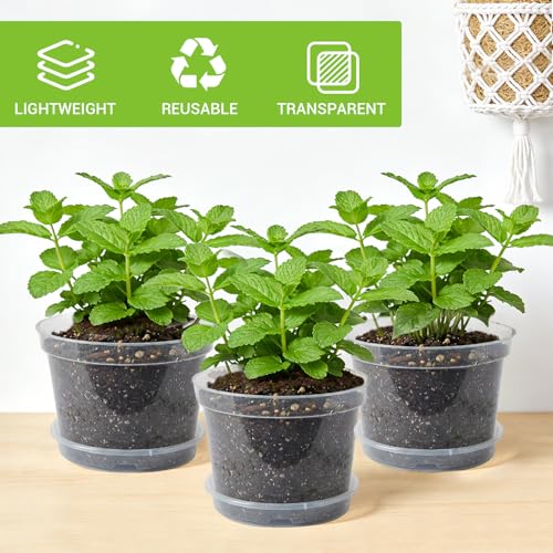 Garvee 12 Pack 8 in Clear Nursery Pots for Plants with Saucers, Thickened Plastic Plant Pots with Drainage Holes, Transparent Seeding Start Planters for Indoor Outdoor