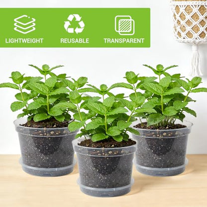 Garvee 12 Pack 8 in Clear Nursery Pots for Plants with Saucers, Thickened Plastic Plant Pots with Drainage Holes, Transparent Seeding Start Planters for Indoor Outdoor