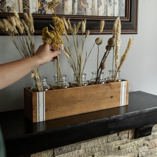 Foreside Home and Garden Ticking Stripe 5 Bud Vase Holder Glass Wood & MDF by Foreside Home & Garden